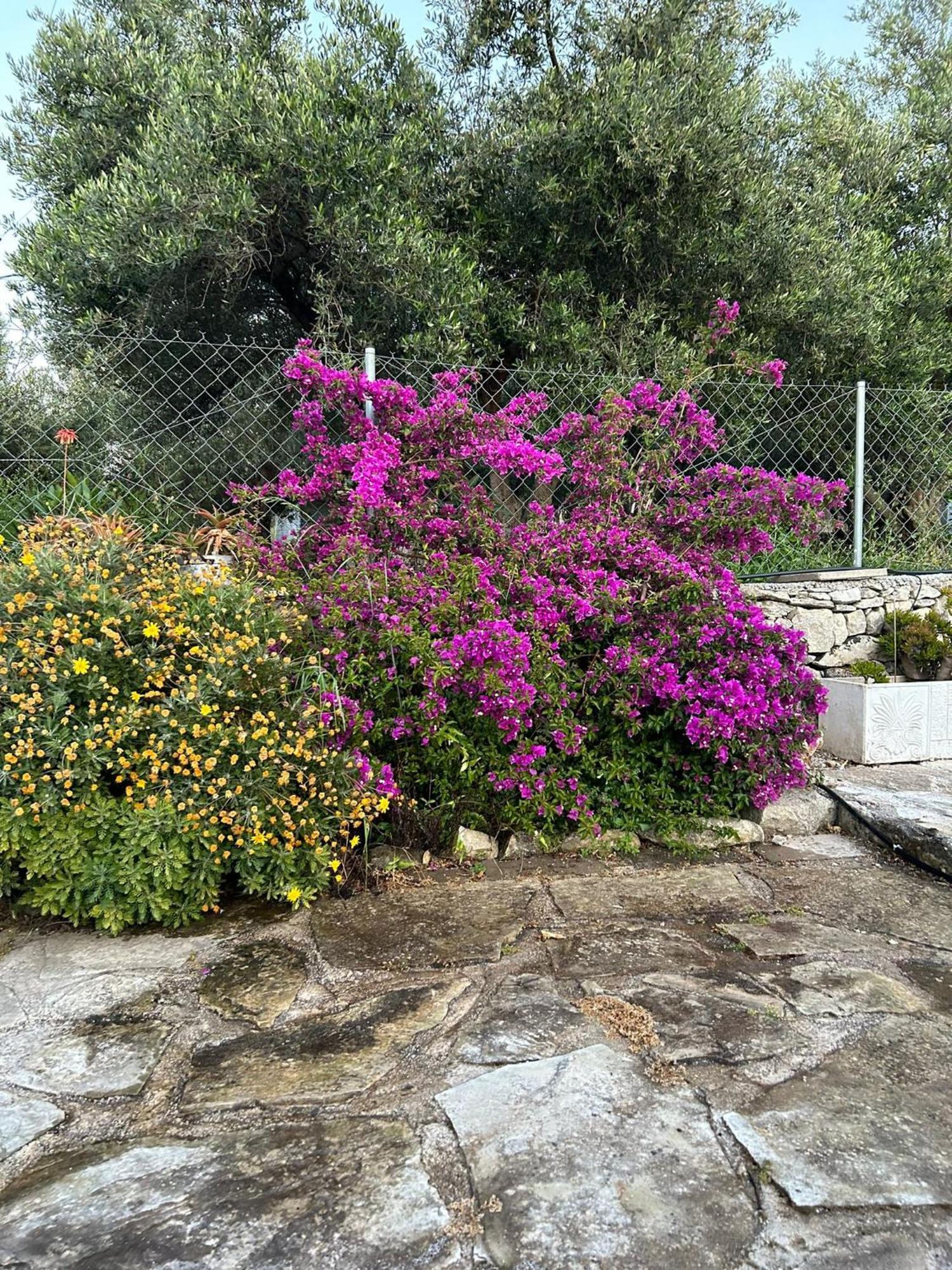 Old Stone Villa In Apokoronas Villa Nostalgia Kreta Fílippos Buitenkant foto